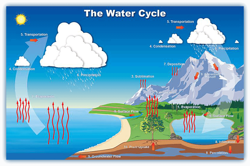 precipitation water cycle