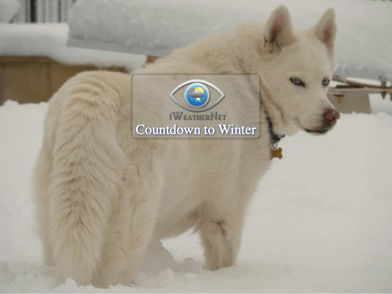 Days Until Winter 2023 Countdown