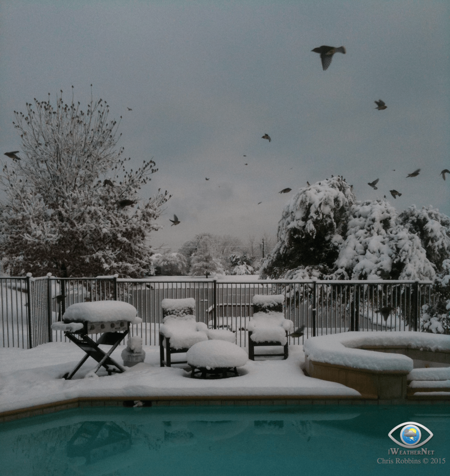 Historic snowstorm in North Texas on 2/12/2010. DFW recorded its greatest 24-hour snowfall of all time (12.5").