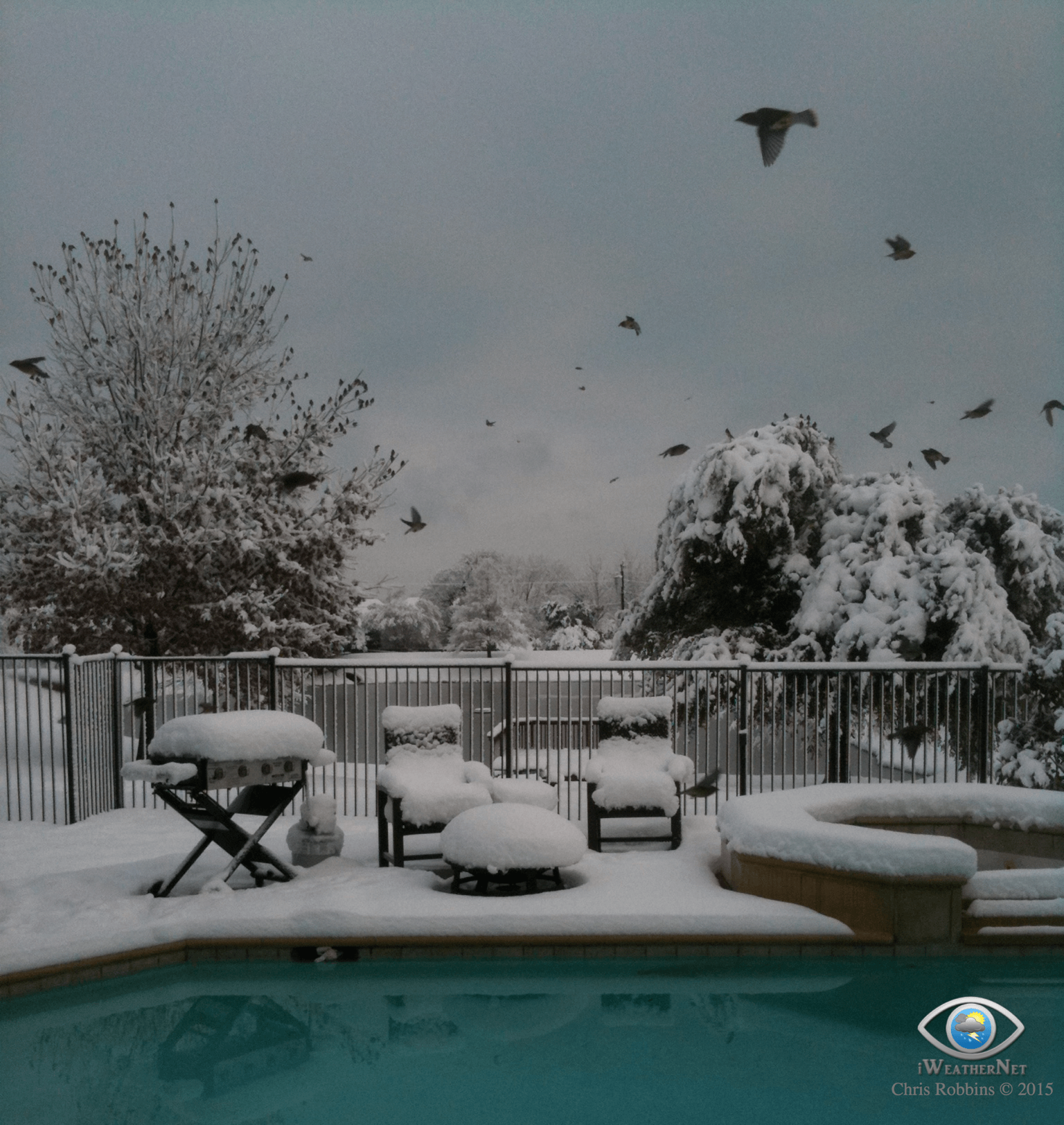Albums 98+ Pictures pictures of snow in dallas Excellent