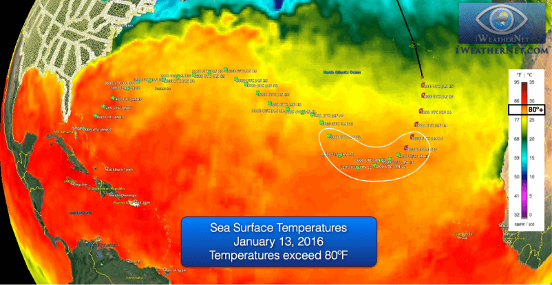 sea-surface-temperatures-january-13-alex
